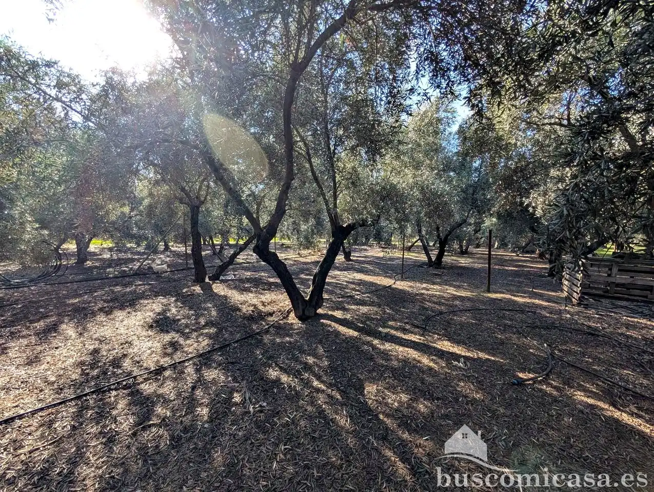 Casa rústica con piscina en venta en Piedra Rodadera, imagen 20