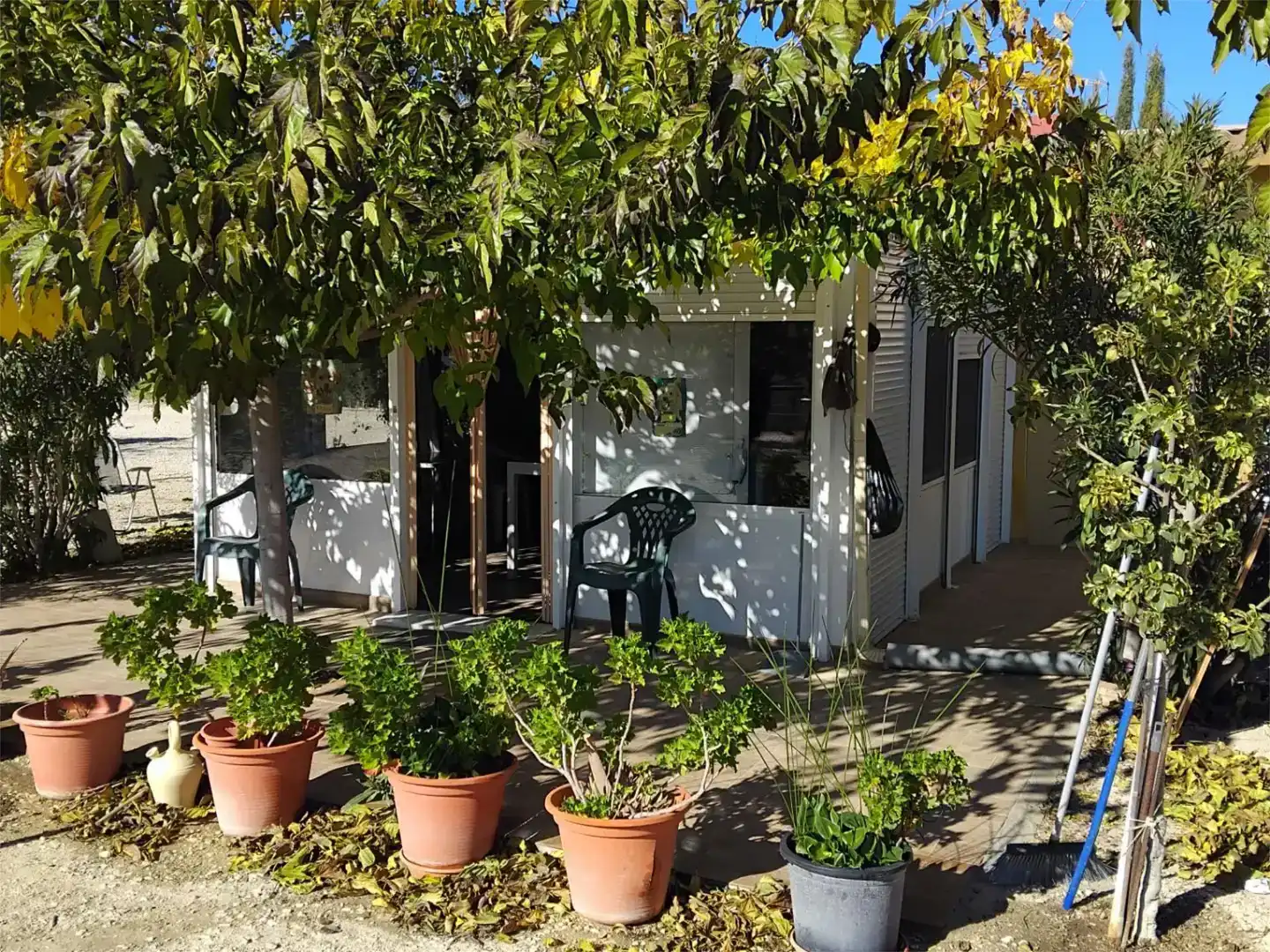 Jardí de Pis en venda en La Romana