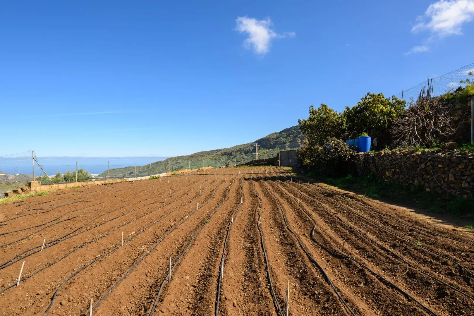 Casa o xalet en venda en Valsequillo de Gran Canaria amb Jardí privat i Terrassa