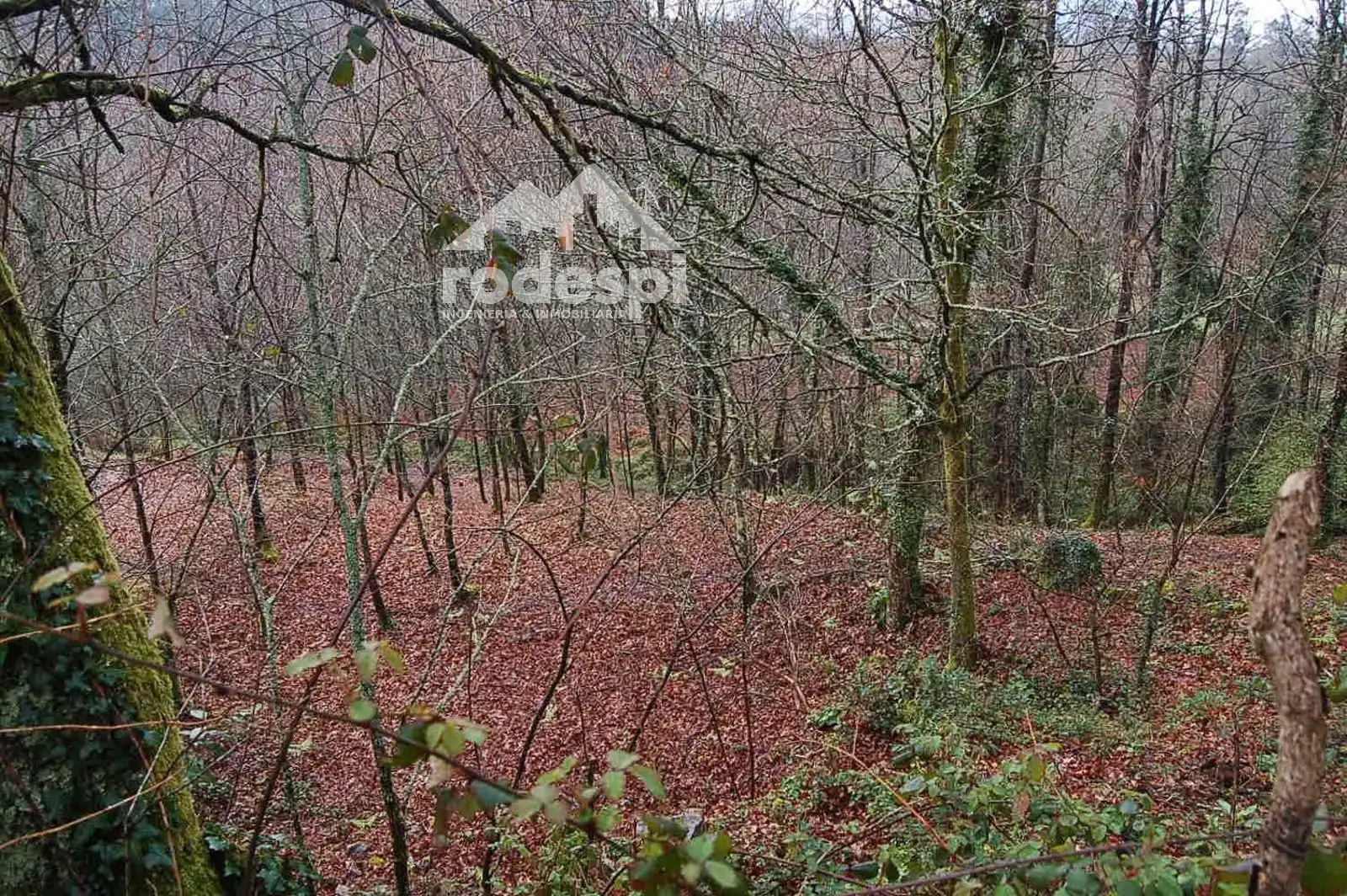 Casa en venta en Ponteareas, imagen 3