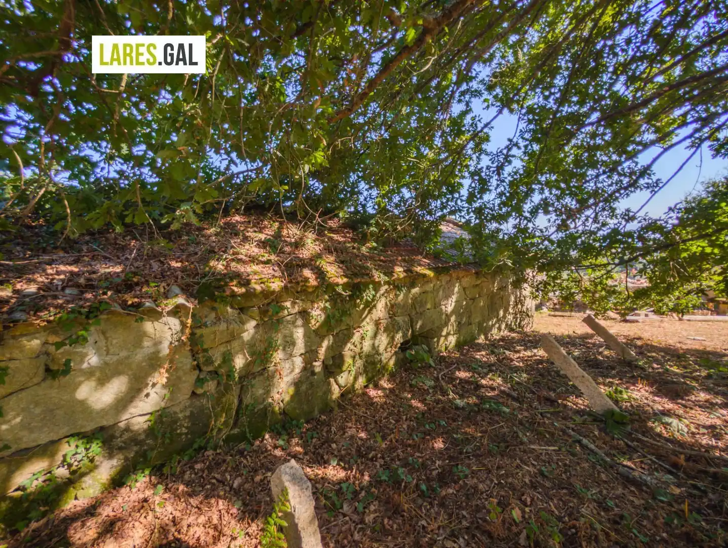 Terreno rustico in vendita a Trementelo, imagen 18