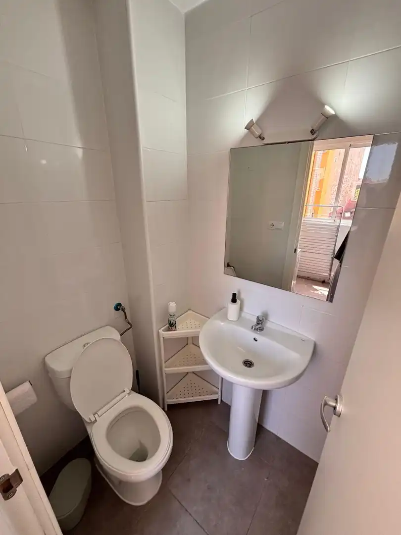 Bathroom of Flat for share in Elche / Elx  with Heating, Terrace and Furnished