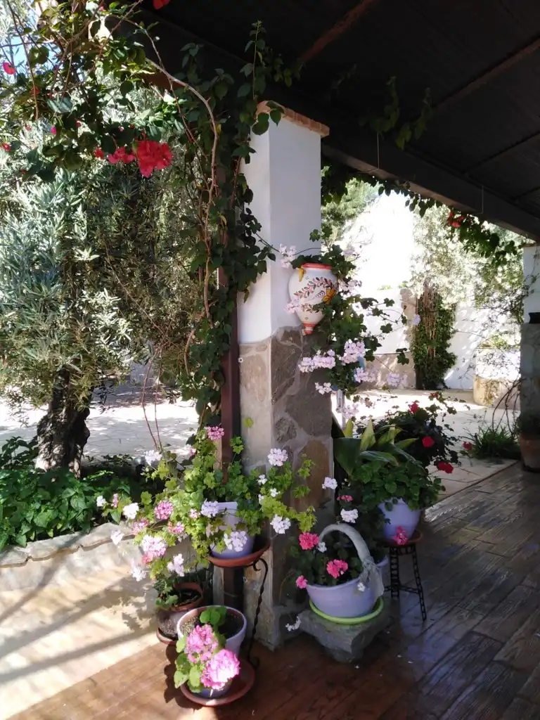 Detached house for sale in Paraje del Cadimo, imagen 2
