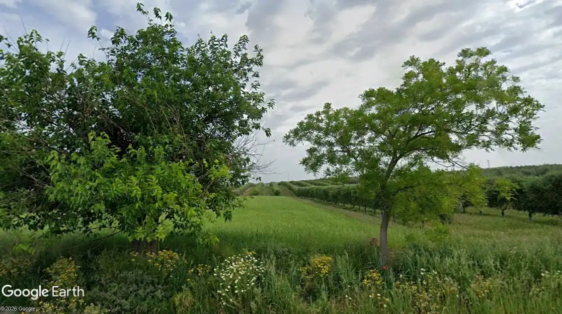 Terreny rústic en venda a Montellano, imagen 4