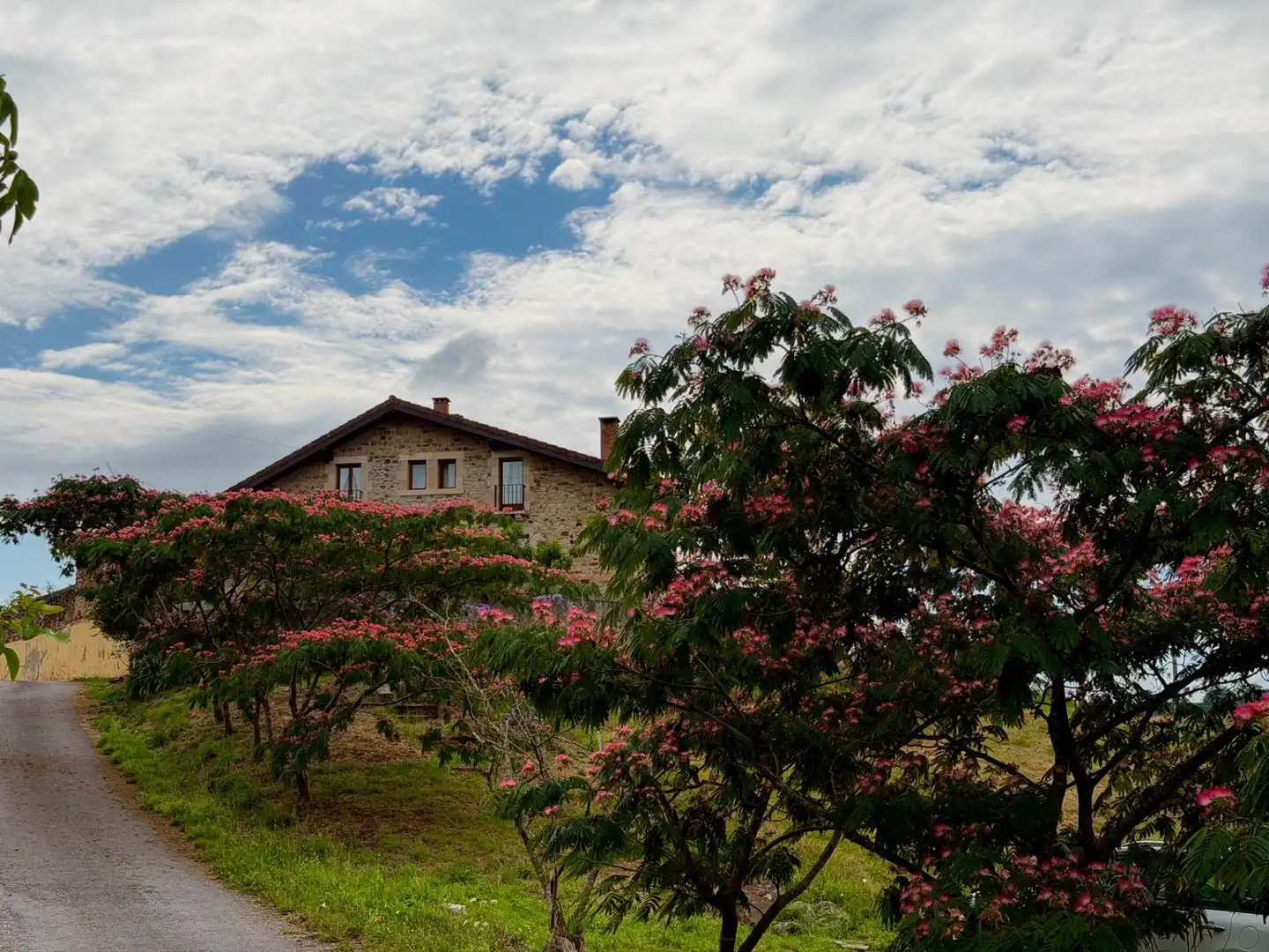Vista exterior de Casa o xalet en venda en Polanco amb Calefacció, Jardí privat i Terrassa
