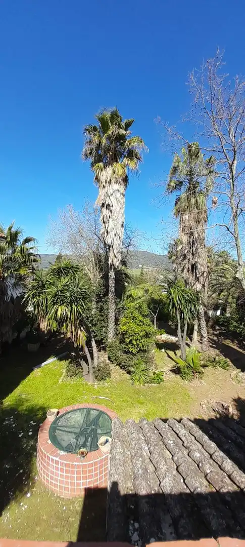 Jardí de Terreny industrial en venda en Córdoba