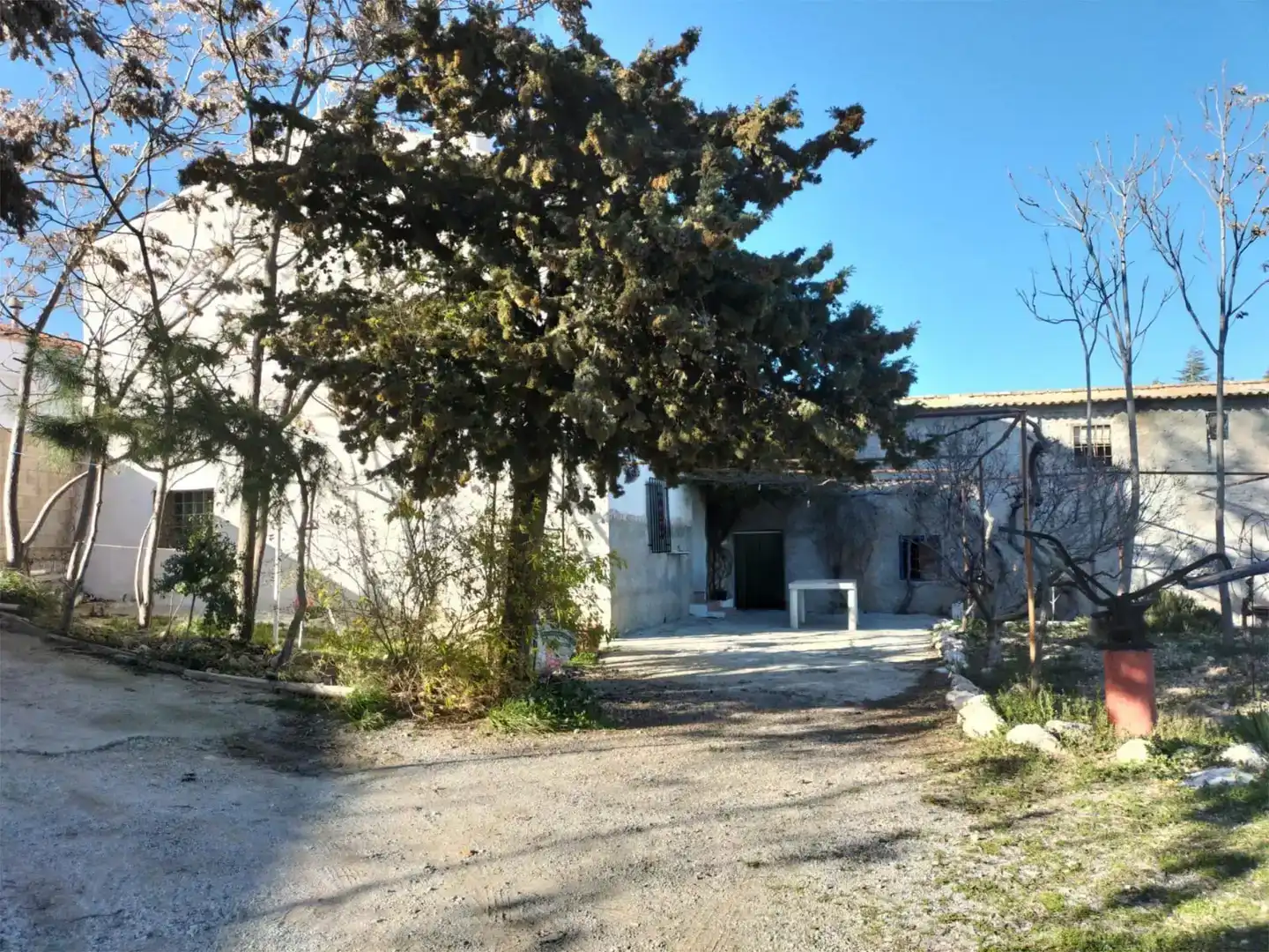 Vista exterior de Finca rústica en venta en Baza con Jardín privado, Trastero y Amueblado