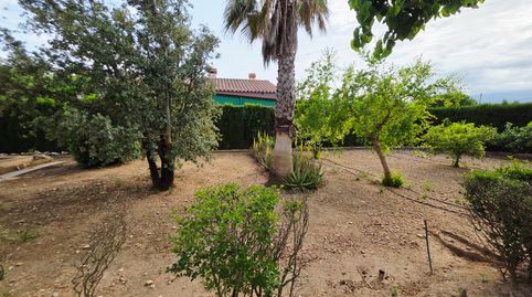 Foto 5 de Casa o chalet en venta en Partida S Bernabe, Jesús - Els Reguers, Tortosa
