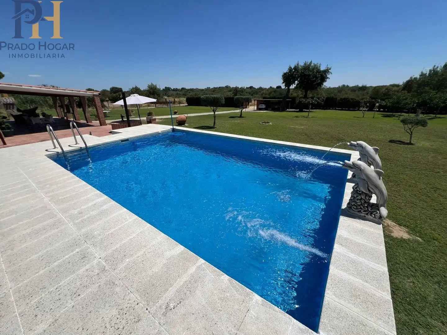 Swimming pool of Houses for sale in Pepino