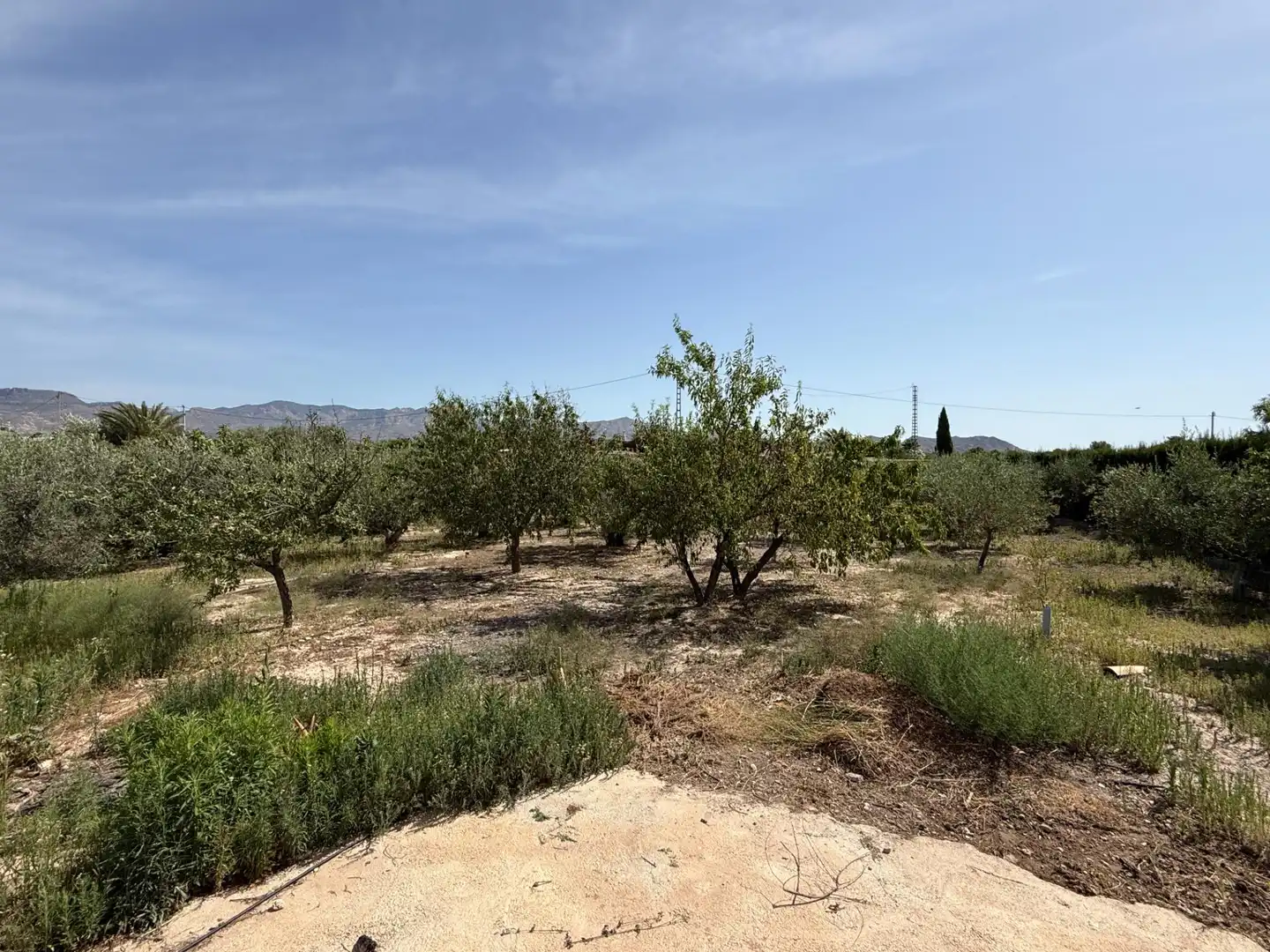 Casa o chalet en venta en Agost con Terraza y Piscina