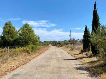 Terreno residenziale in vendita a Camino BARRANC DE MOLES 61