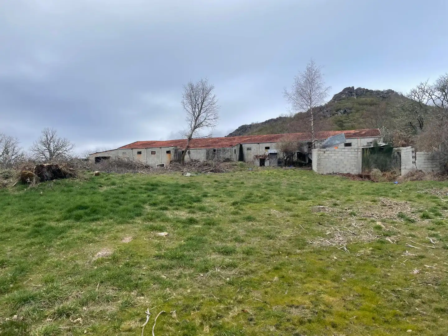 Land for sale in Baltar