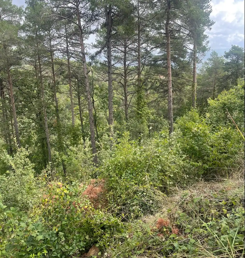 Residential land for sale in Muntanyola, imagen 7