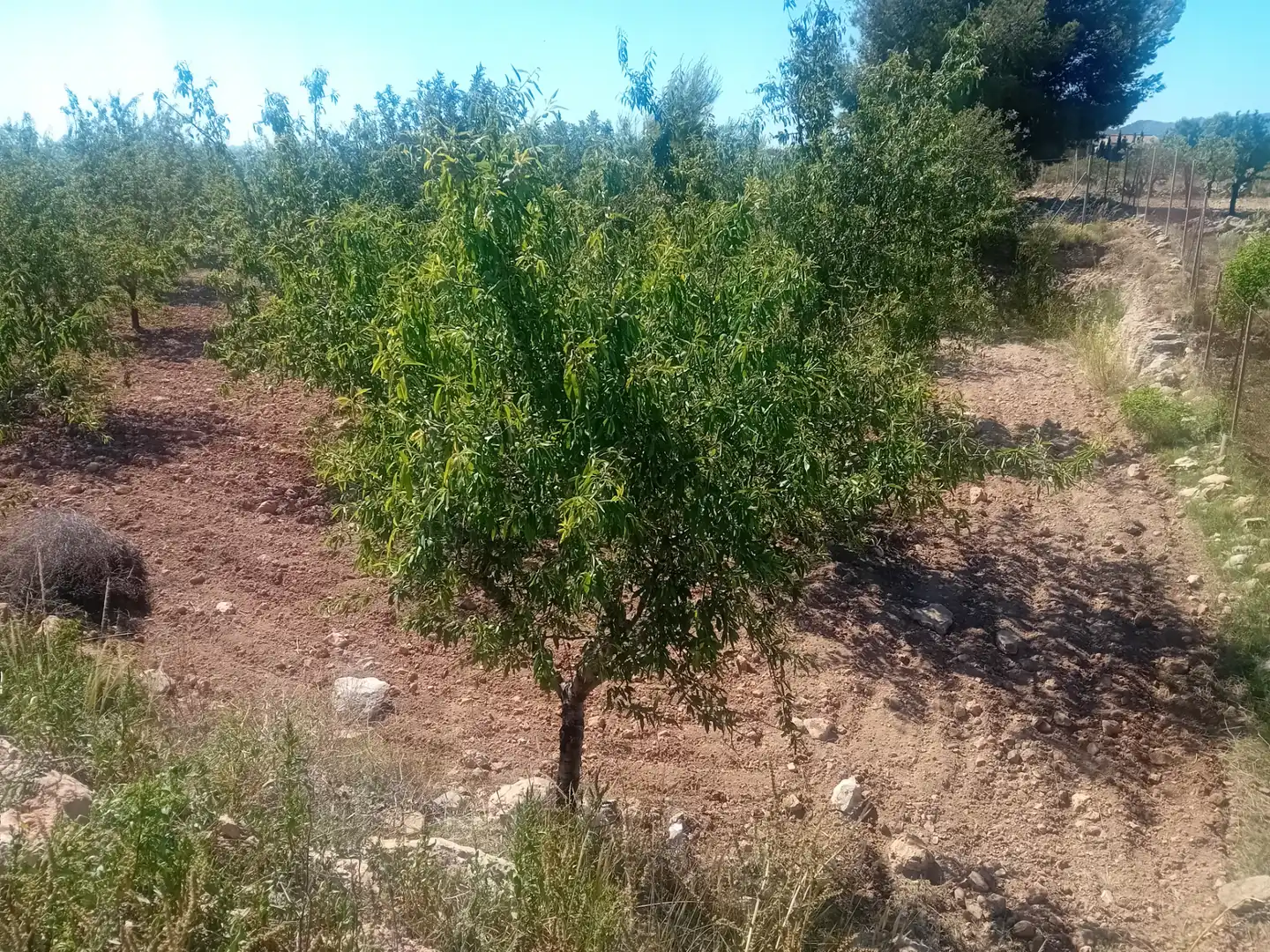 Terreno en venta en Cartagena