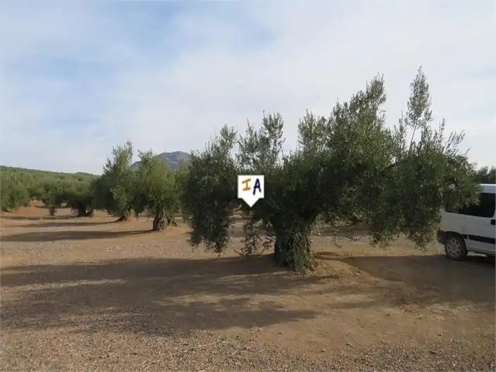Terreni e lotti in vendita a Alcaudete, imagen 5