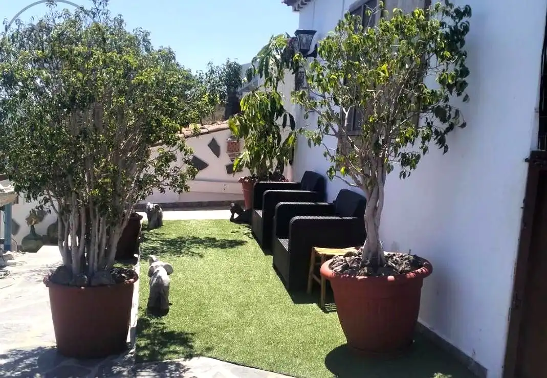 Terrace of Country homes for sale in Garachico  with Private garden and Terrace