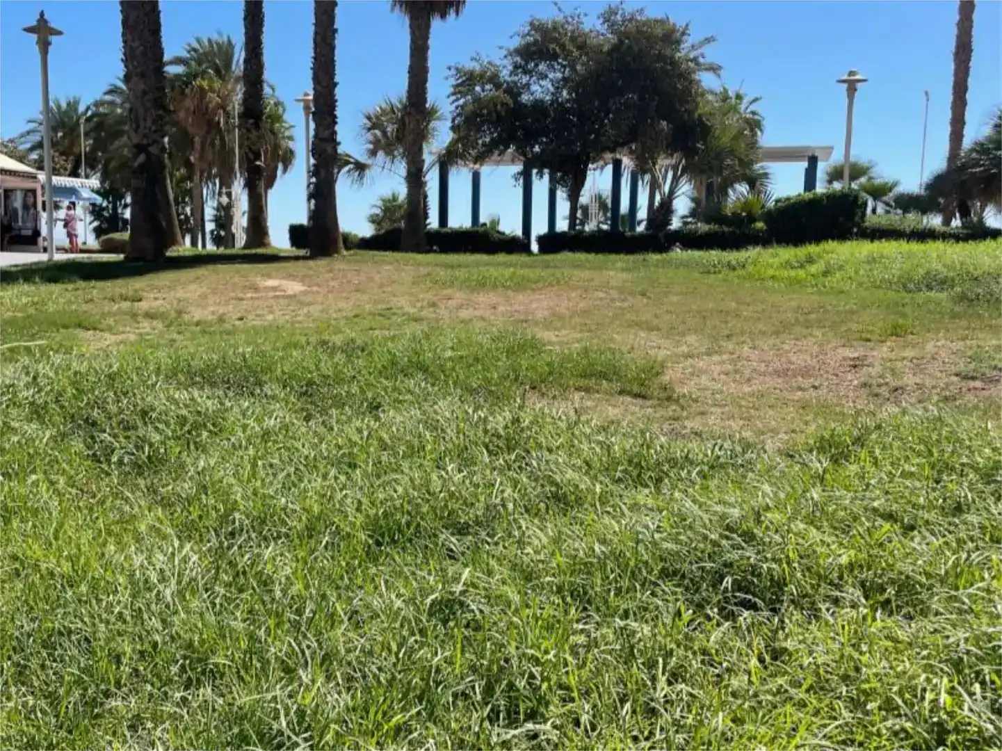 Geschaftsraum zur Miete in Málaga