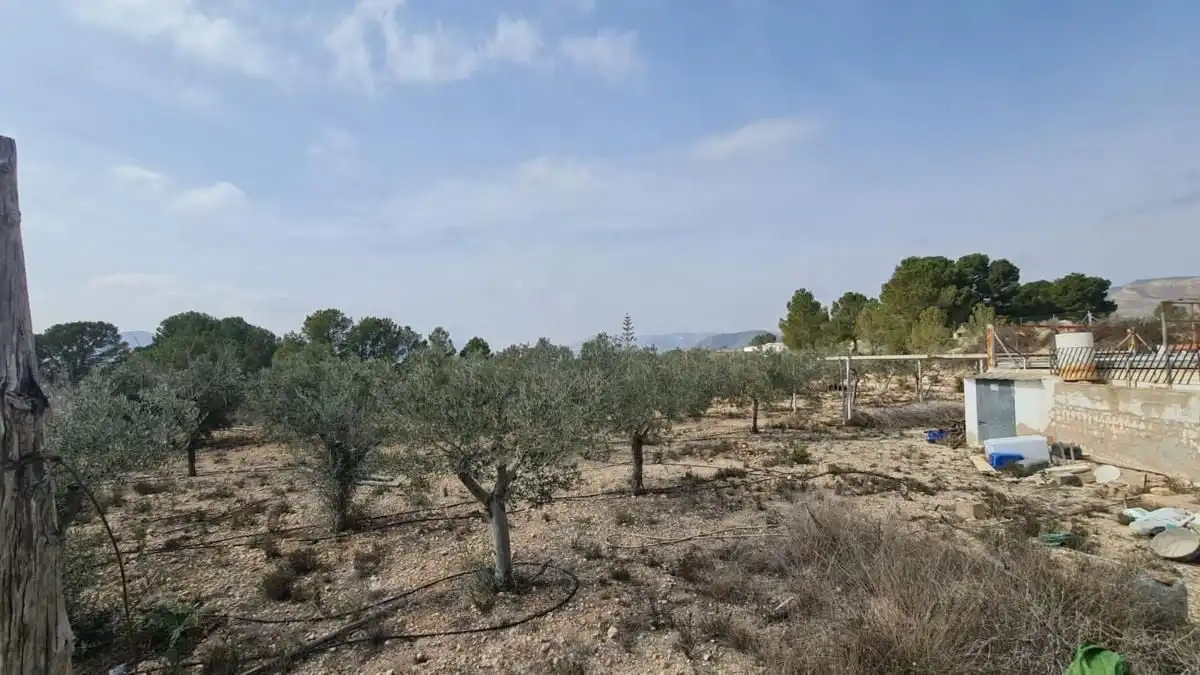 Casa amb piscina en venda a La Romana, imagen 15