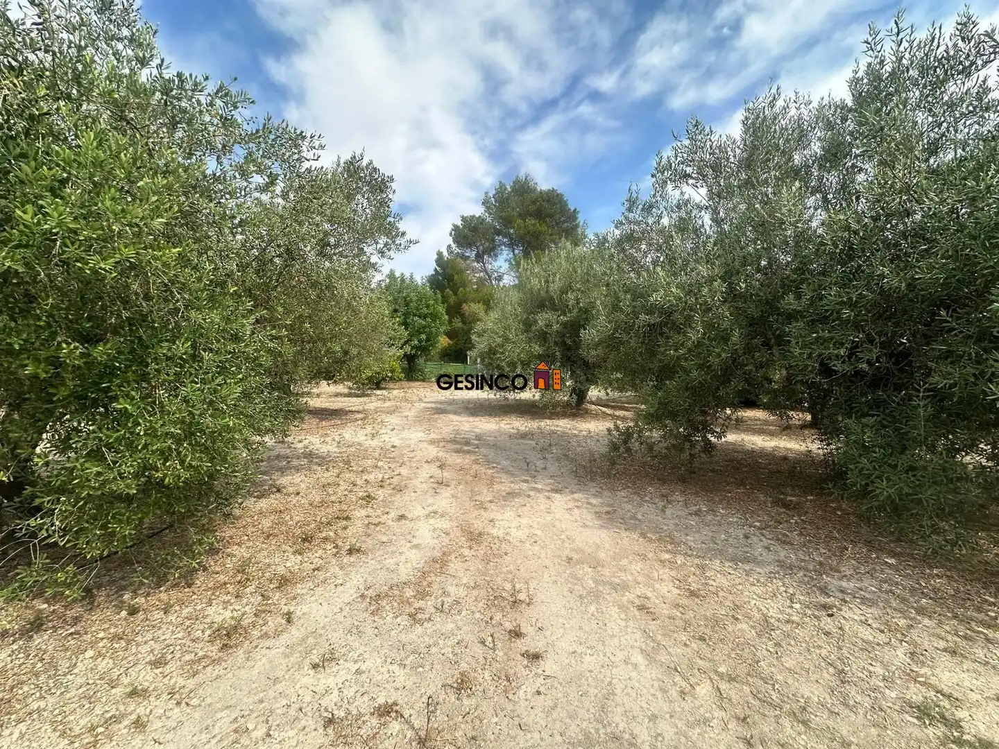 Terreny residencial en venda a Xàtiva, imagen 2