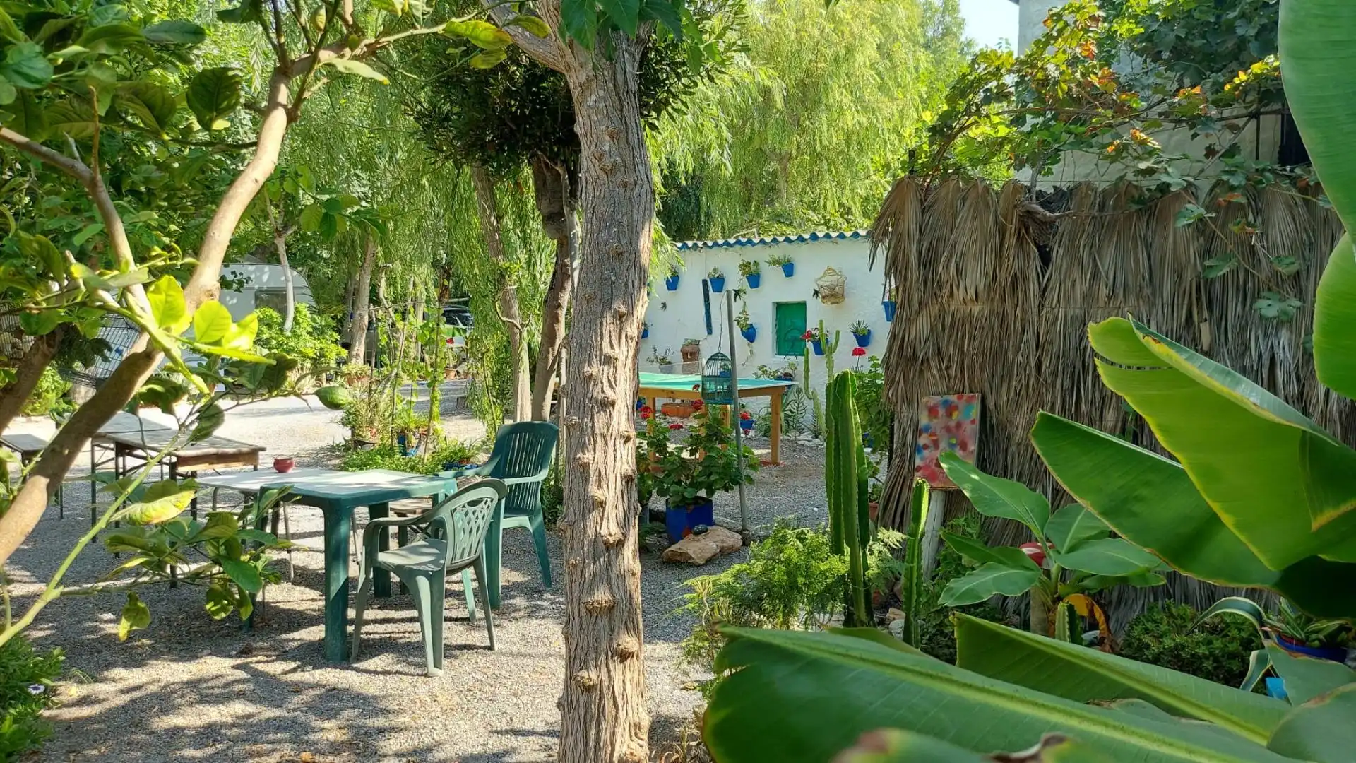 Jardí de Residencial en venda en Adra
