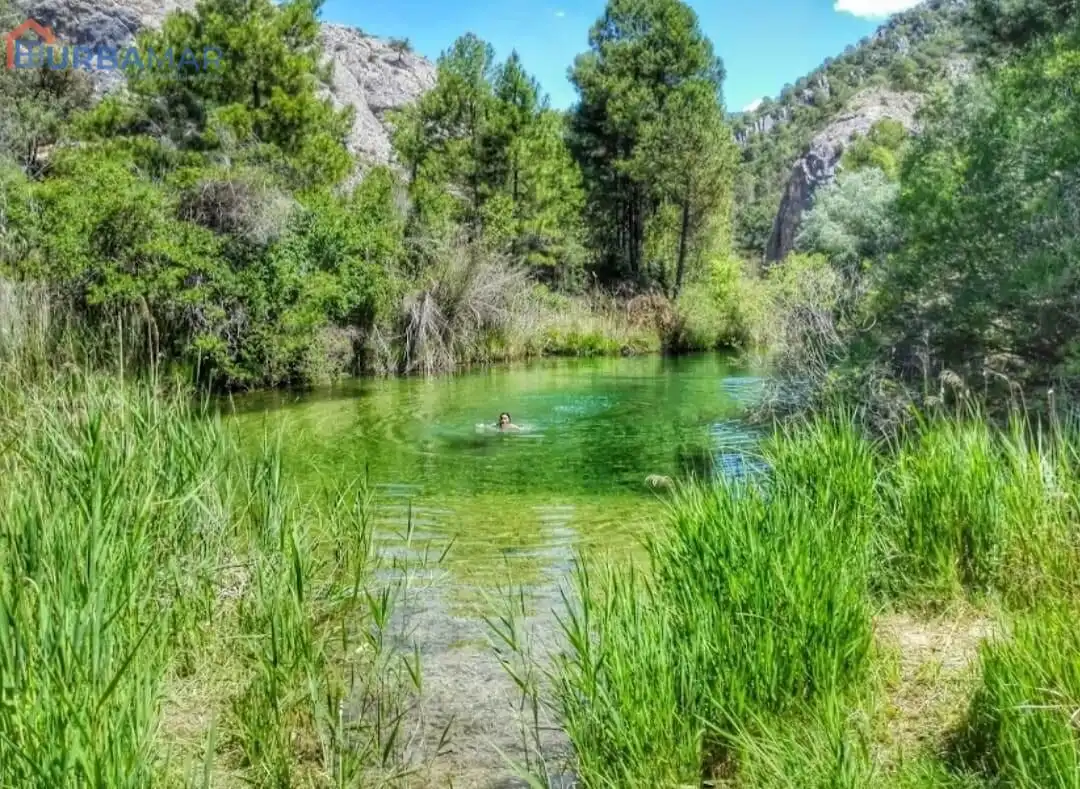Casa o chalet en venta en Cañamares