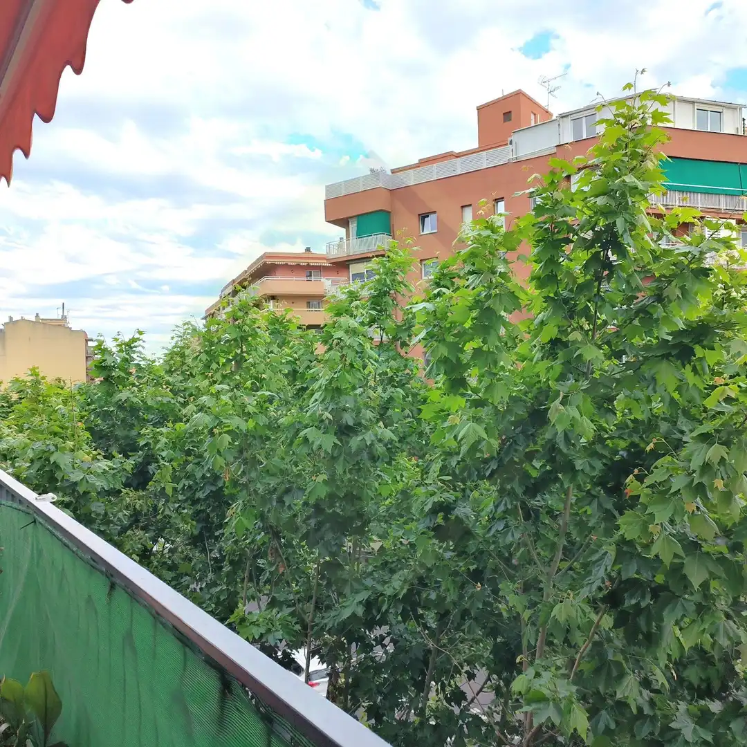 Piso en venta en Alfons X El Savi, Rocafonda