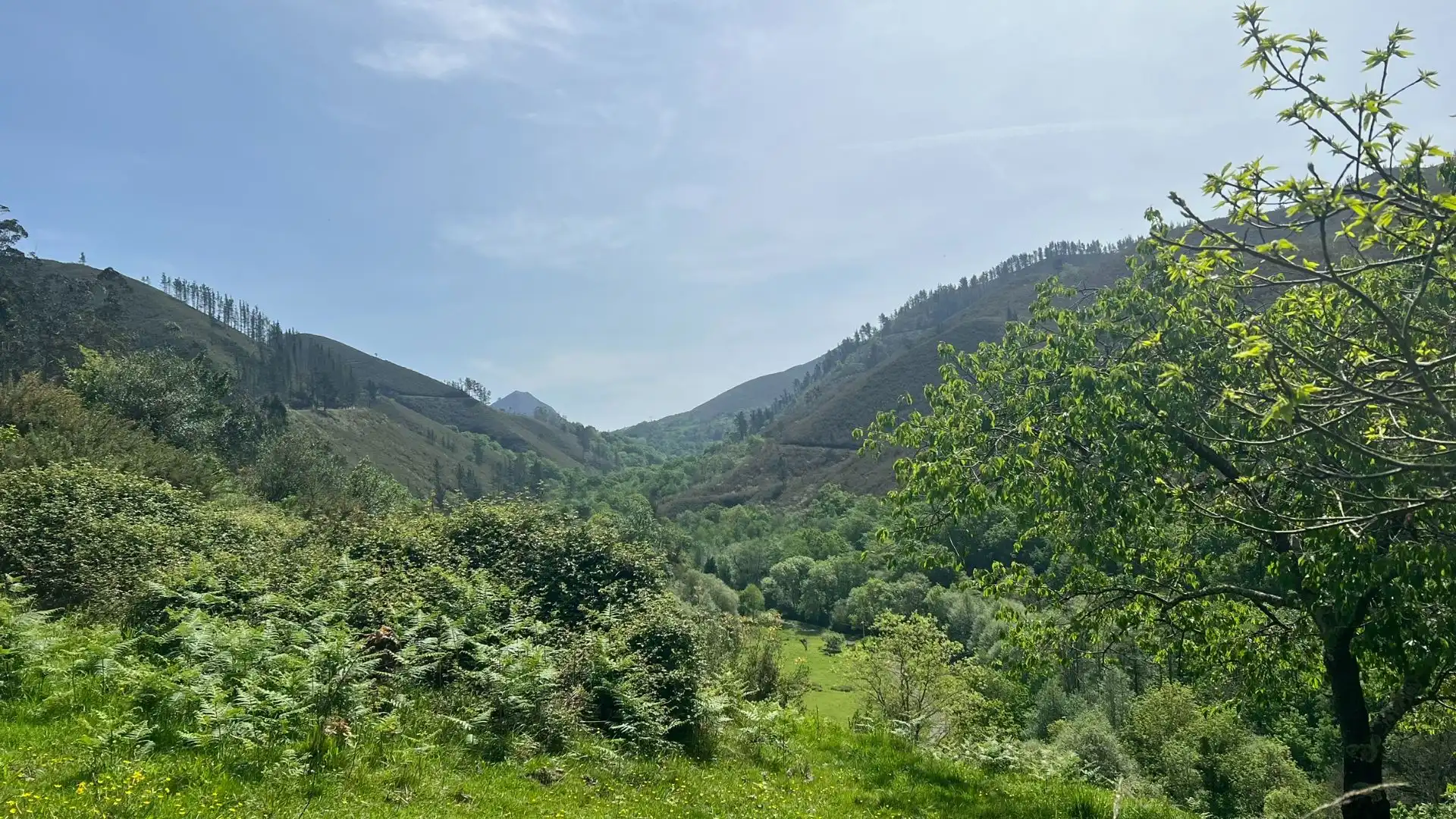 Casa o xalet en venda en Cangas de Onís amb Jardí privat