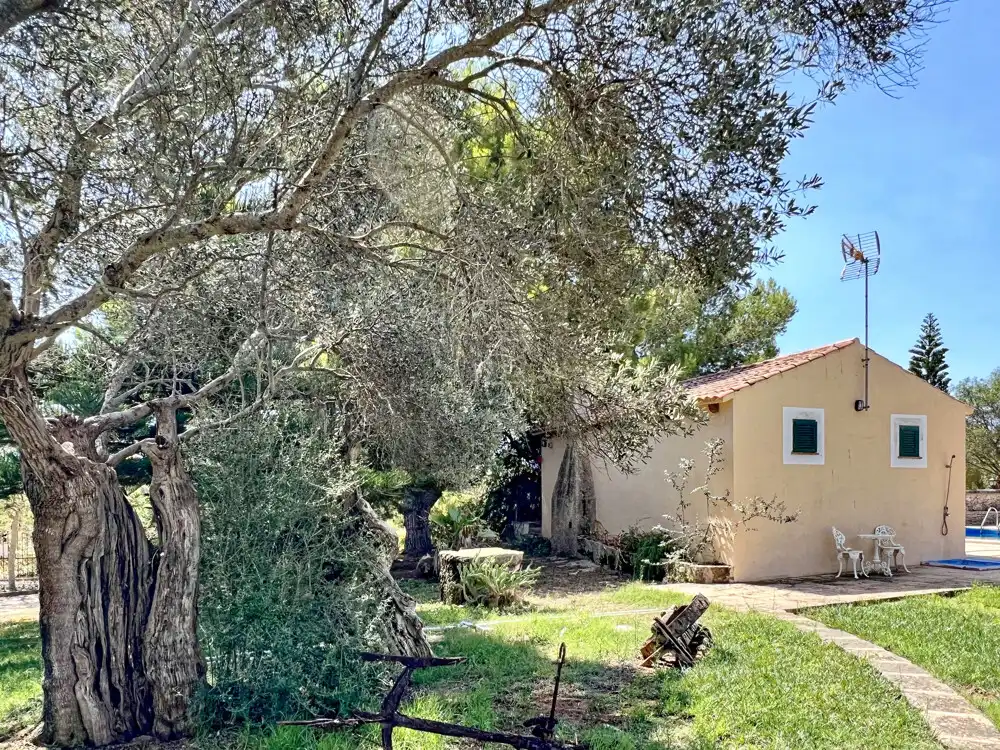 Vista exterior de Casa o xalet en venda en Ses Salines amb Aire condicionat, Calefacció i Terrassa