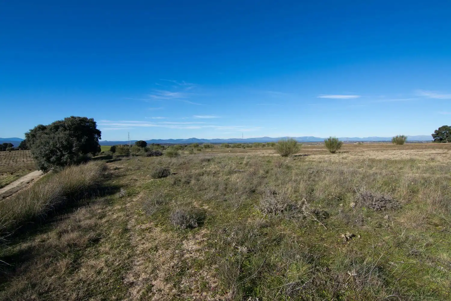 Rural land for sale in Villamanta 0, imagen 4