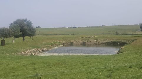 Photo 3 of Land for sale in Sierra de Fuentes, Cáceres