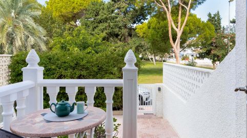 Foto 2 de Finca rústica en venta en N/a, -1, La Zenia, Orihuela