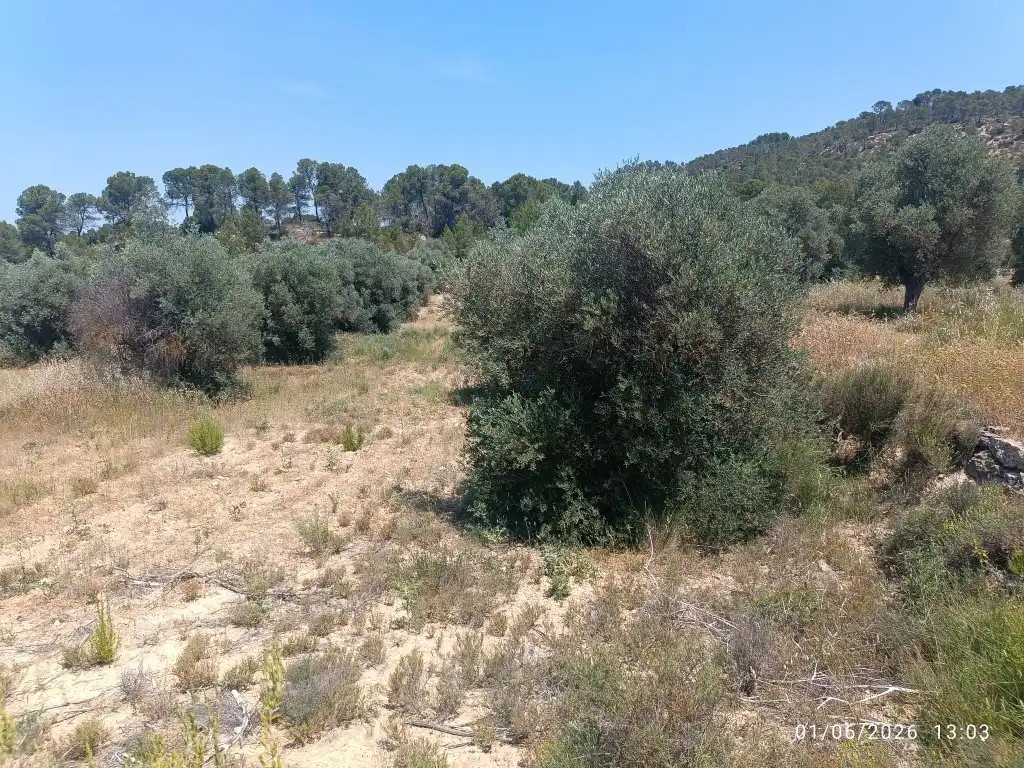 Rural land for sale in N/A, imagen 8