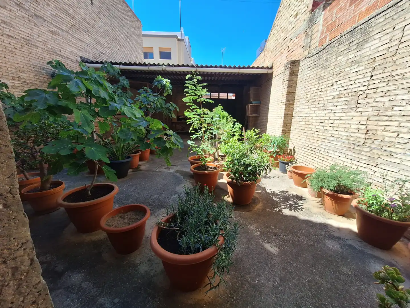 Garten von Haus oder Chalet zum Verkauf in Albalat de la Ribera mit Privatgarten