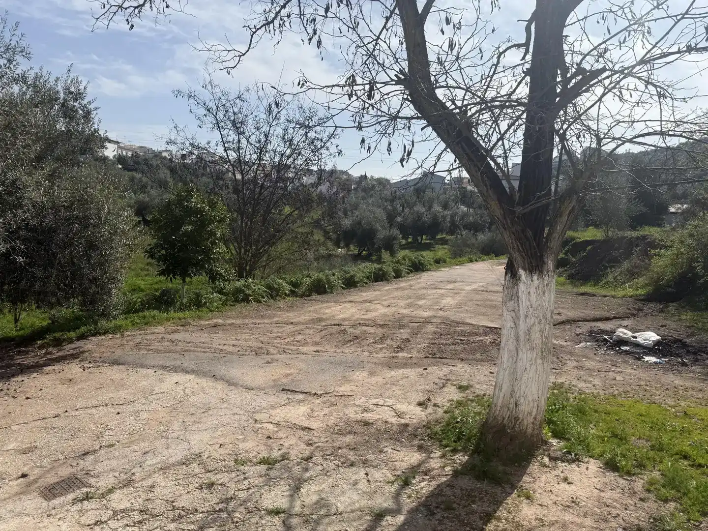 Finca rústica en venda en Villanueva de Algaidas