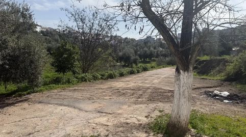 Foto 2 de Finca rústica en venda a Lugar Barruchillo, 5, Villanueva de Algaidas, Málaga
