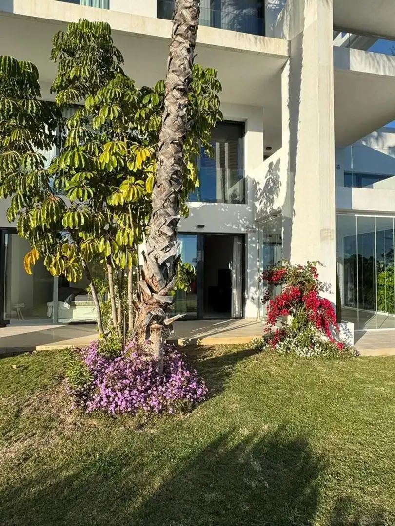 Vista exterior de Planta baixa de lloguer en Estepona amb Aire condicionat, Jardí privat i Terrassa