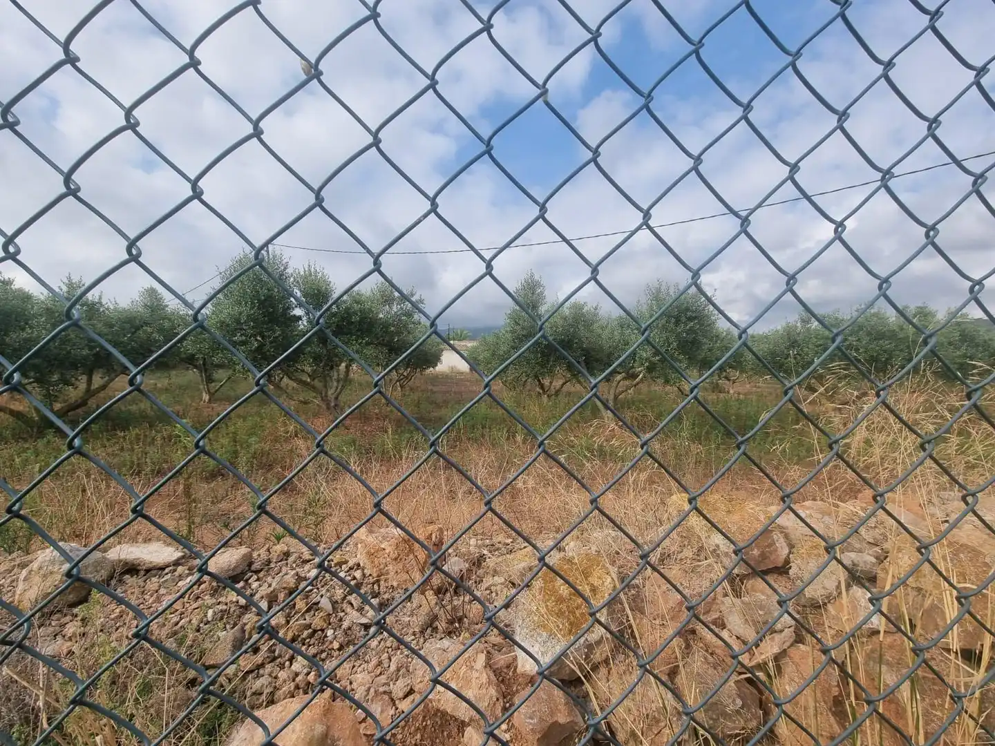 Terreno rústico en venta en Polígono 53 Paraje 73 MAS D´EN CARRASCA, imagen 36