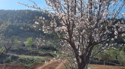 Venta terreno en Bullas proximo a Salto de Usero, immagine 5