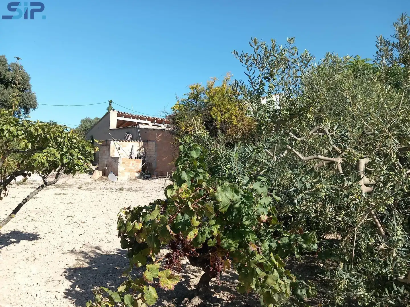Houses for sale in Sant Martí Sarroca  with Storage room