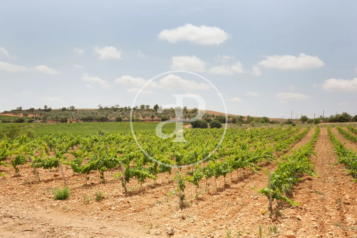 Residencial en venda en Requena