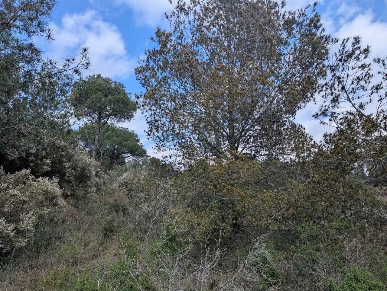 Residencial en venta en Pedret i Marzà