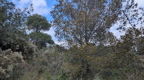 Foto 2 de Residencial en venda a Montperdut, Pedret i Marzà, Girona