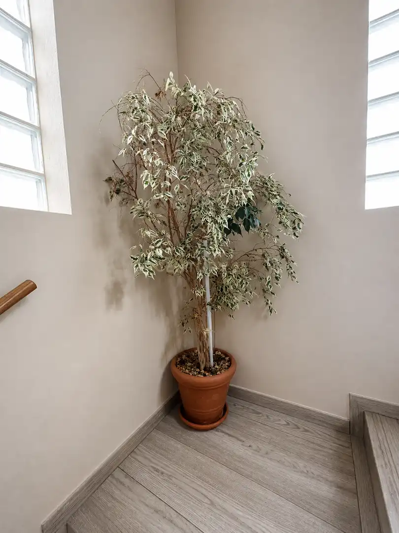 Jardí de Casa o xalet en venda en Cáceres amb Jardí privat i Piscina