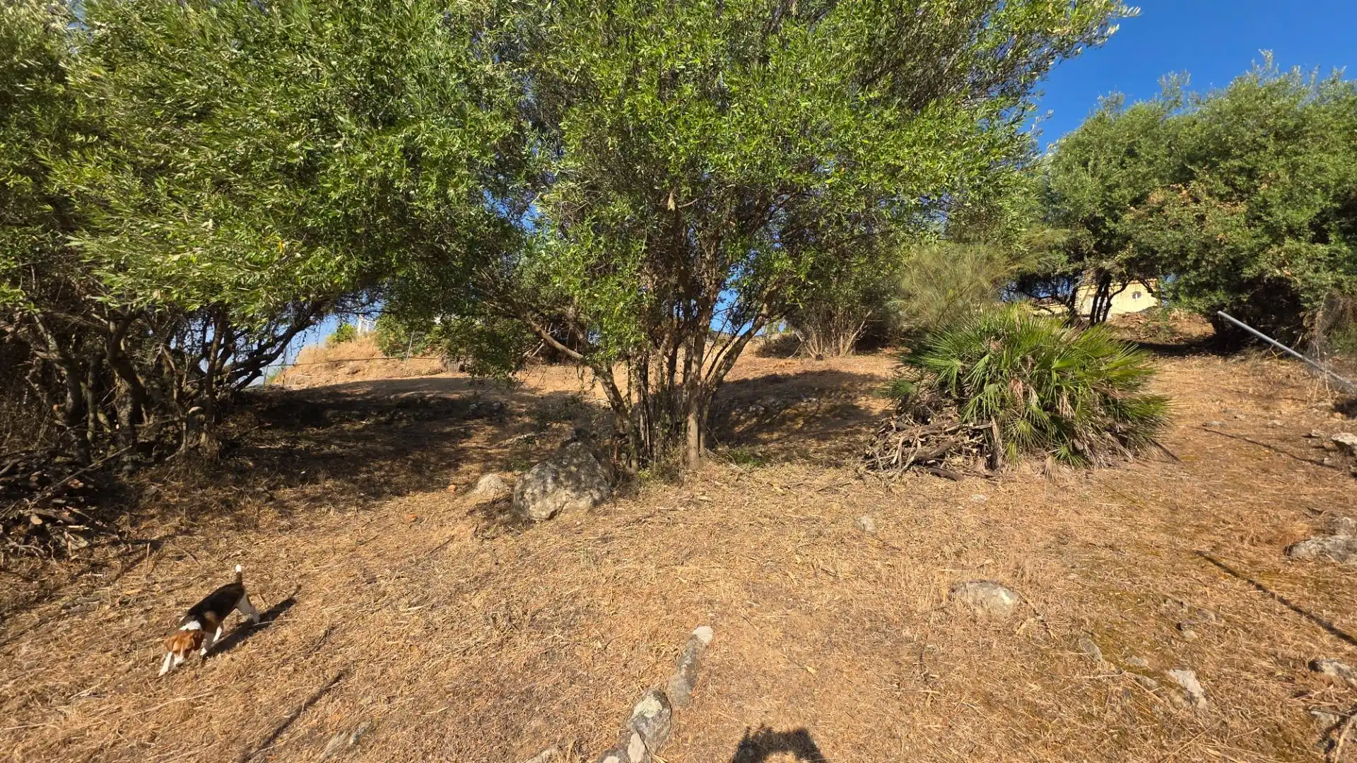 Residencial en venda en Almodóvar del Río
