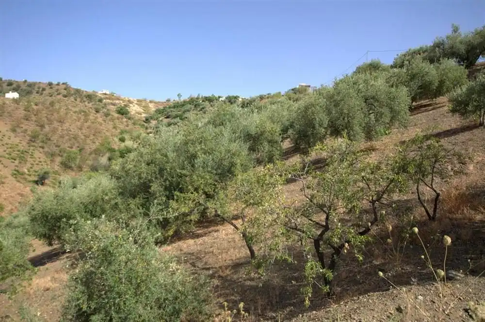 Maison à vendre à Sedella, imagen 7