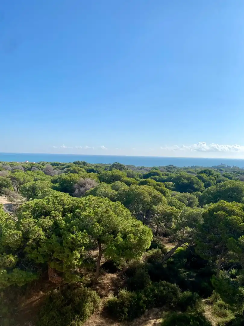 Apartament en venda a Pueblo