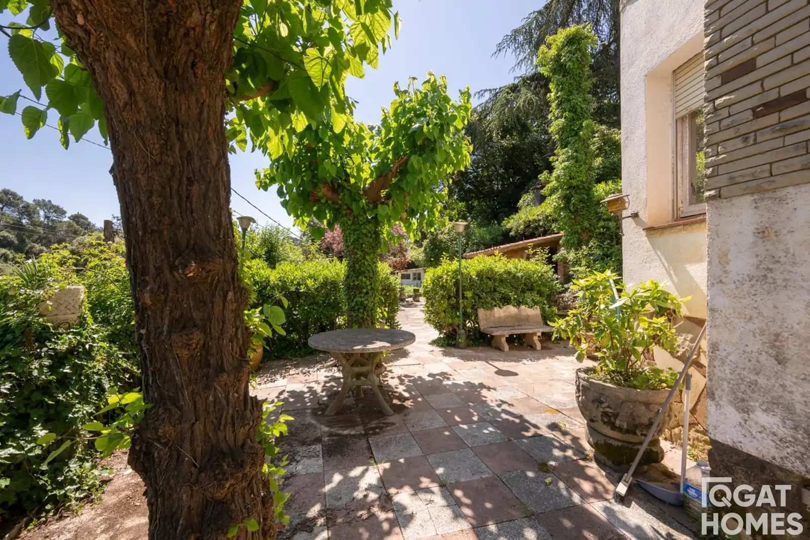 Jardí de Casa o xalet en venda en Molins de Rei amb Traster i Piscina