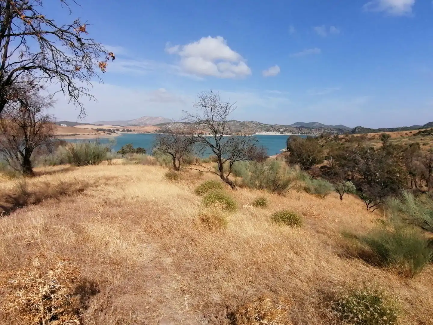 Residential for sale in Ardales