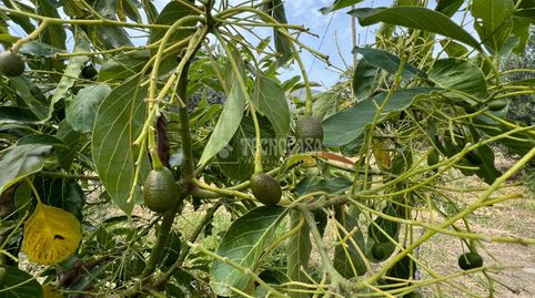 Foto 5 von Grundstücke zum Verkauf in Diseminado Diseminados, Órgiva, Granada