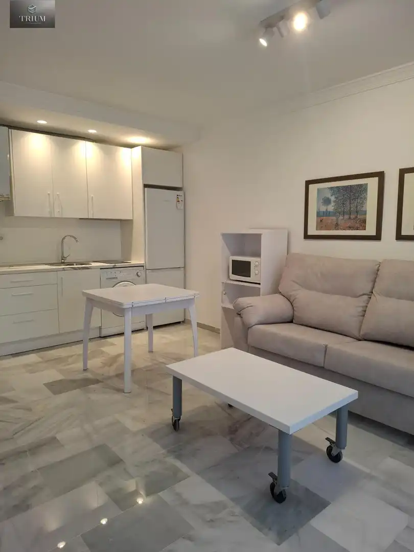 Sala d'estar de Pis de lloguer en Granada amb Calefacció i Moblat